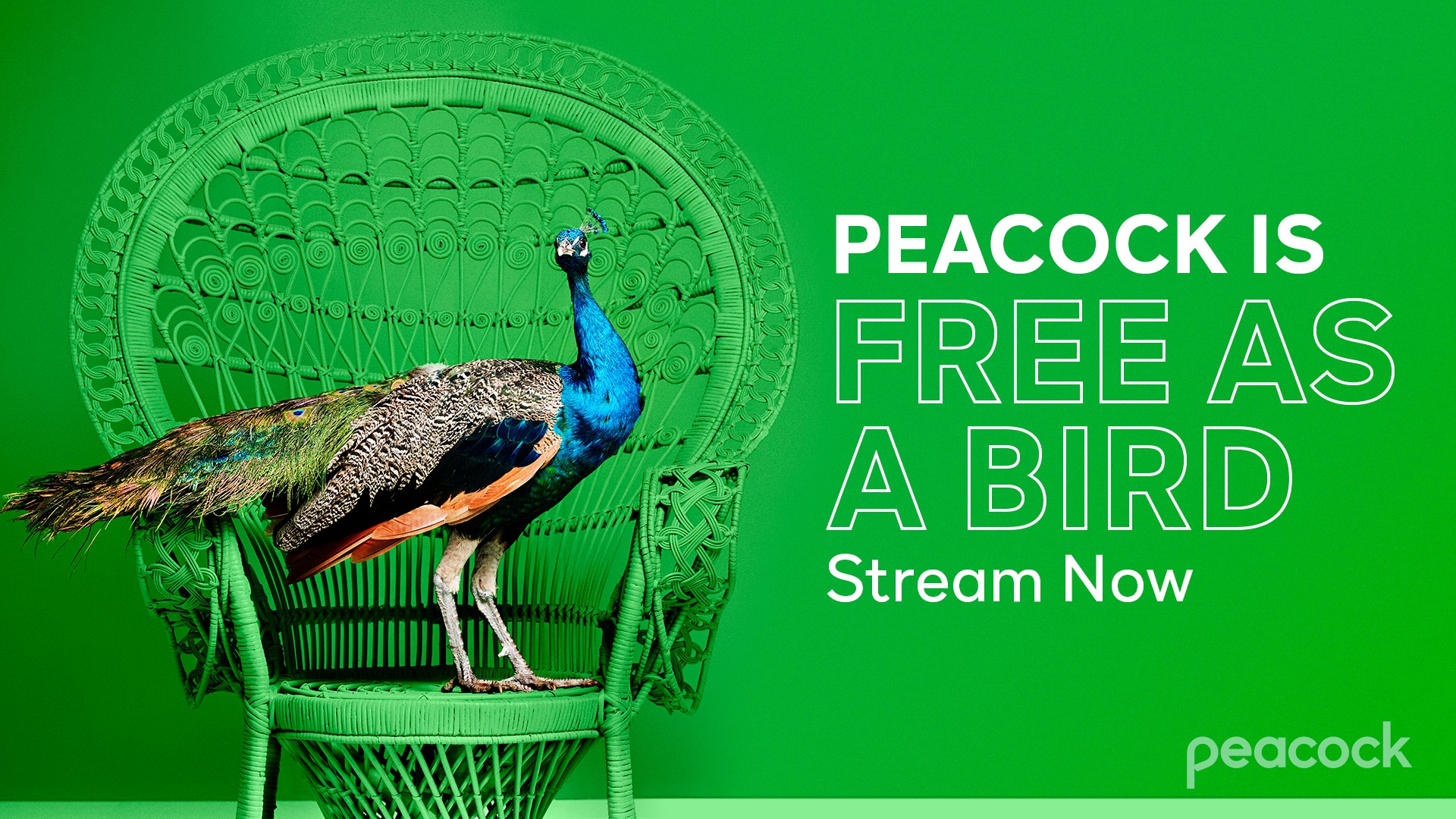 Peacock TV Promo: Get 3 Months Free - wide 1