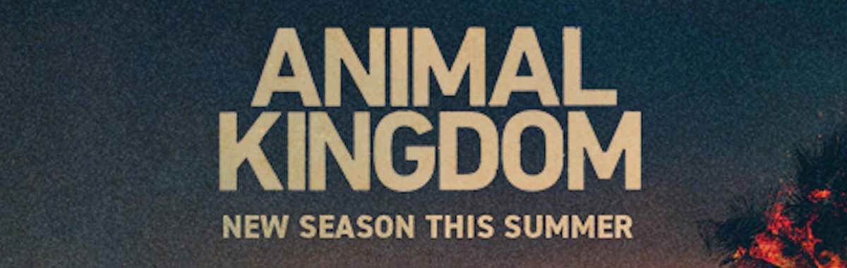 How to Watch Animal Kingdom Season 6 on TNT in Australia